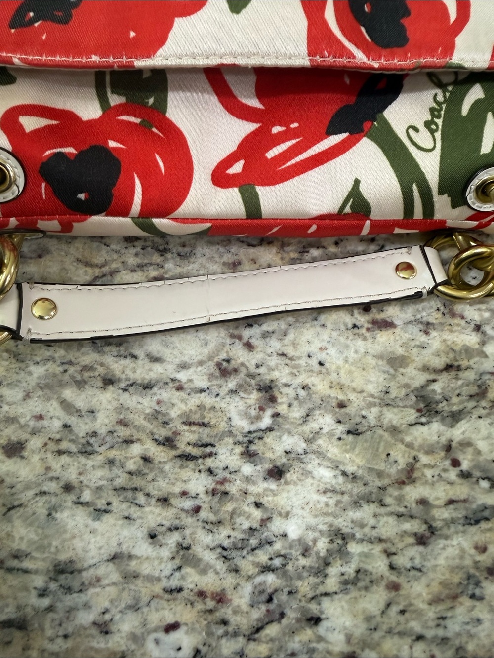 Coach Poppy 22439 Hard to Find Floral Embroidered 2 Way Crossbody Handbag Red - Picture 13 of 16